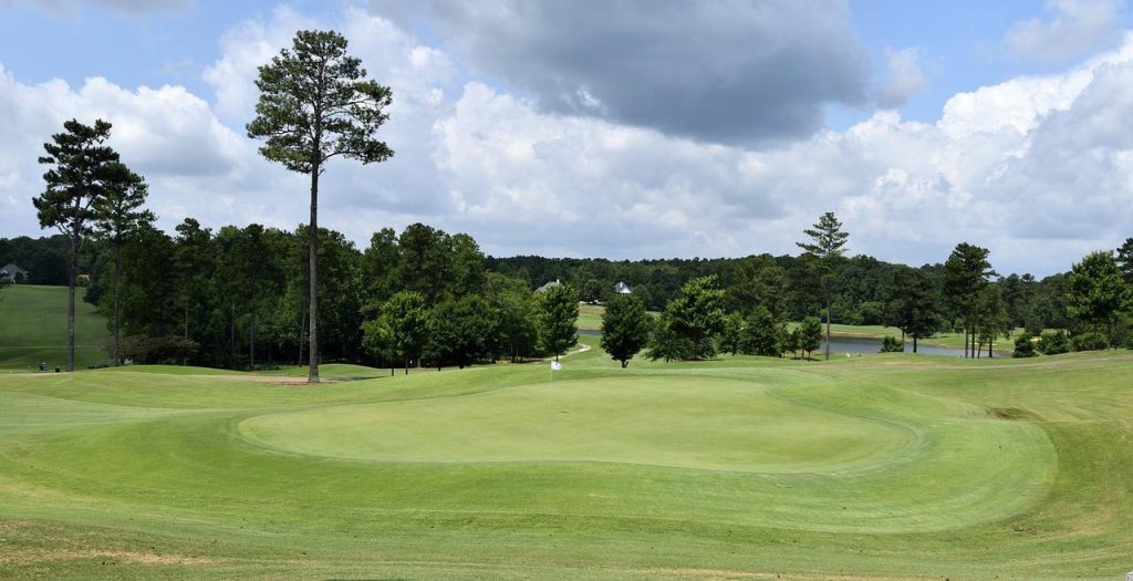 Les 5 éléments majeurs d’un terrain de golf