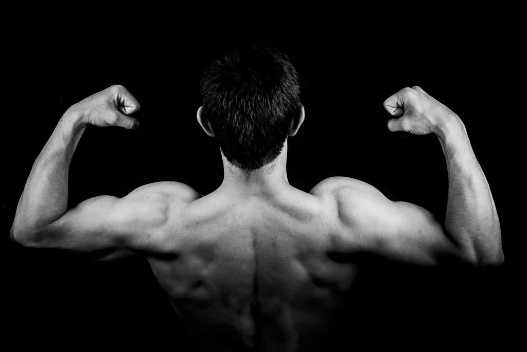 3 parties différentes des triceps et comment les travailler